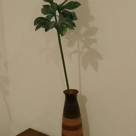 Pensjonat Terbatas 6/8 *